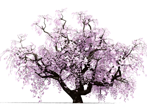 Japanese Ornamental Trees Pack 3D Model