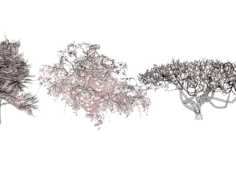 Japanese Ornamental Trees Pack 3D Model