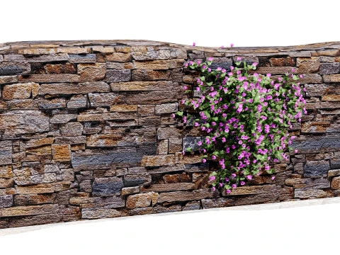 Ivy-Leaved Toadflax Pack 3D Model