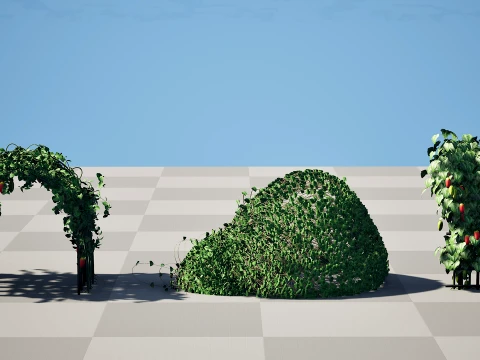 Ivy Gourd Coccinia grandis vegetables 3D Model