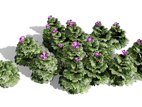 Ground Ivy Vegetable Pack 3D Model