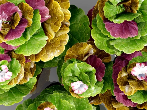 Ground Ivy Vegetable Pack 3D Model