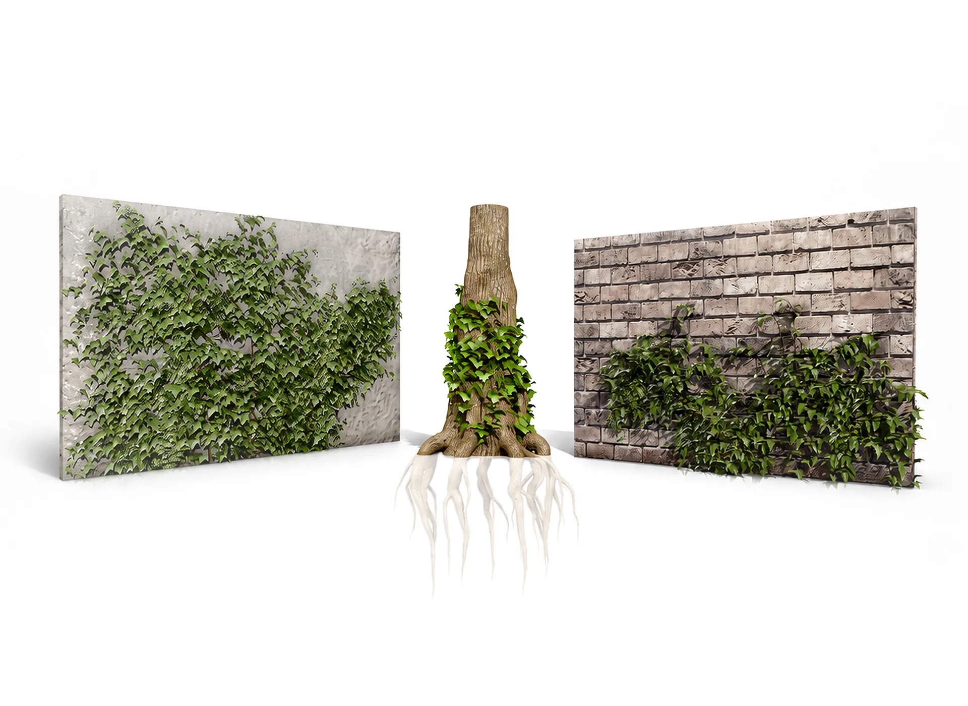 Ivy Plants Collection 01 3D Model .c4d .max .obj .3ds .fbx .stl .blend 