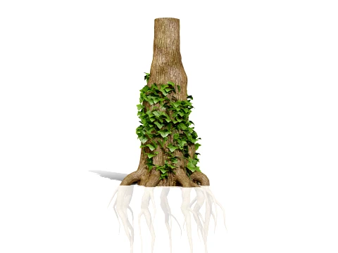 Ivy Plants Collection 01 3D Model