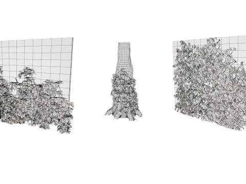 Ivy Plants Collection 01 3D Model