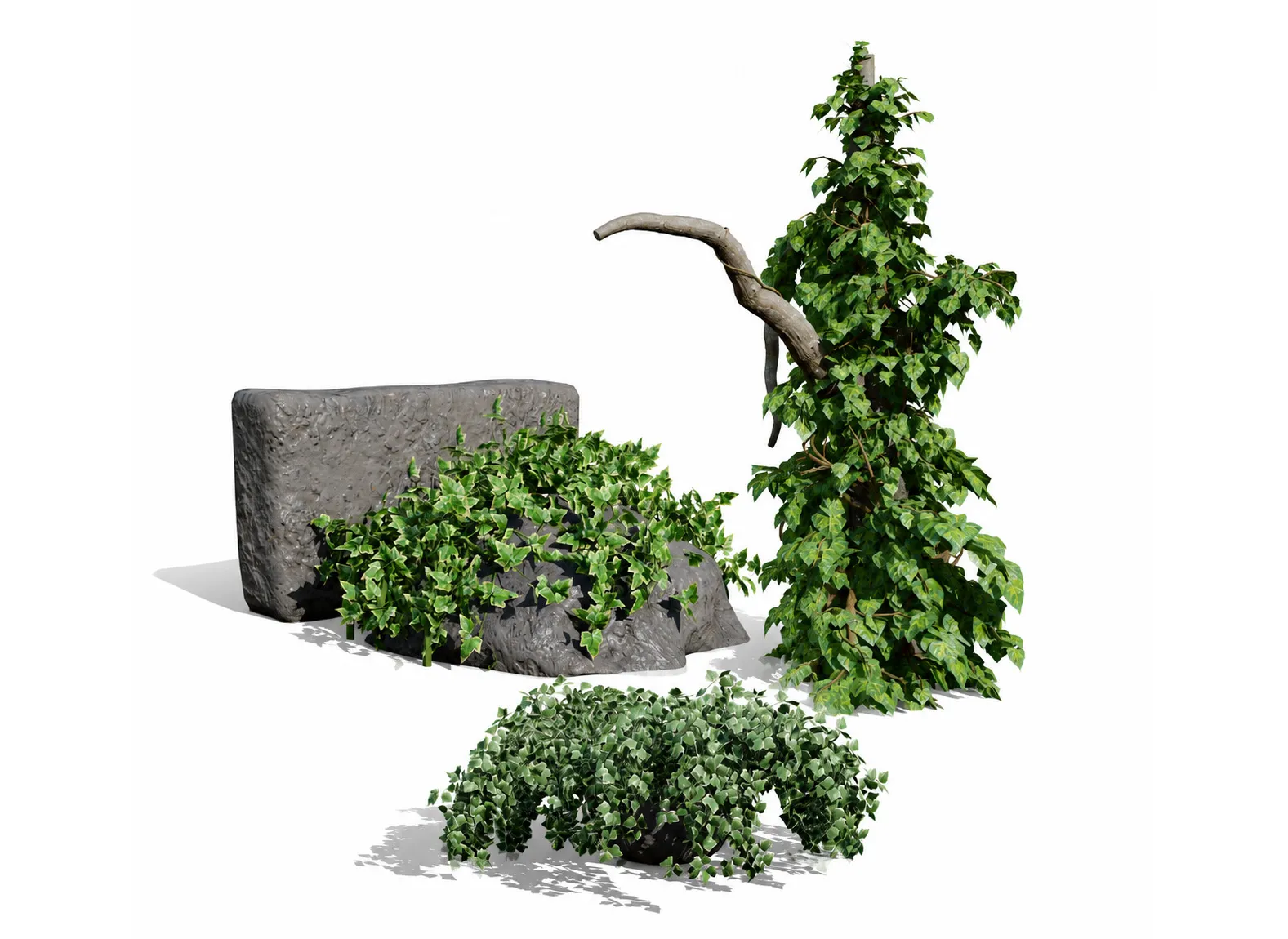 Ivy Plants Collection 02 3D Model .c4d .max .obj .3ds .fbx .stl .blend