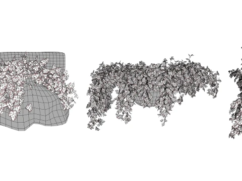 Ivy Plants Collection 02 3D Model