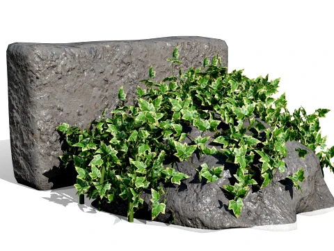 Ivy Plants Collection 02 3D Model