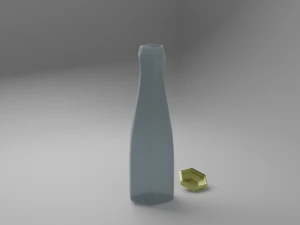 bottle by vudu95 3D Model