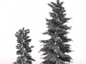 pine tree 3D Model