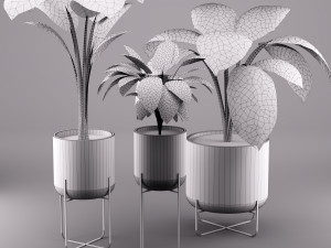 indoors plants 3D 모델