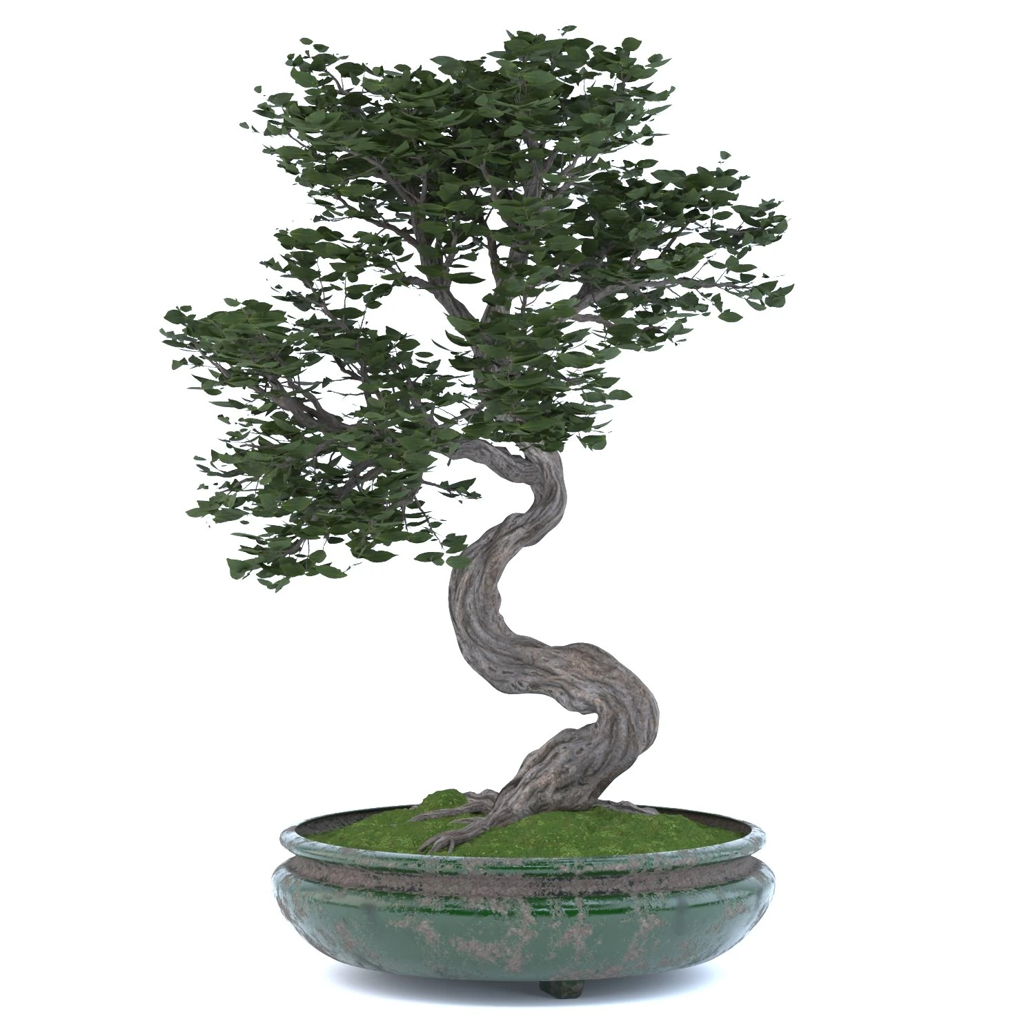 бонсай 3D Модель .c4d .max .obj .3ds .fbx .stl .blend 