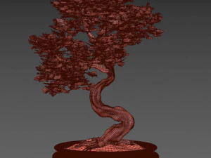 бонсай 3D Модель
