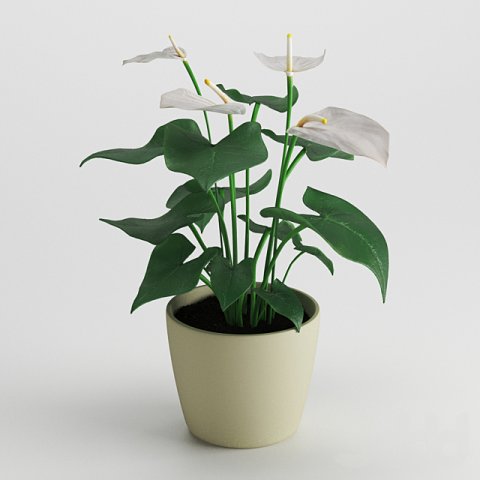 anthurium flower 3D Модель .c4d .max .obj .3ds .fbx .stl .blend 