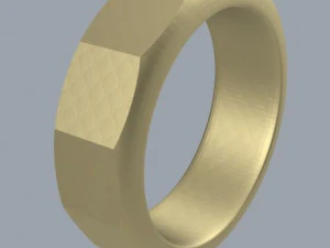 фасетное кольцо 1 3D Модель