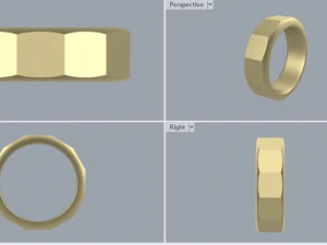 facet ring 1 3D Model