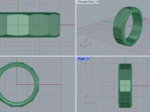 facet ring 1 3D Model