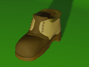 shoes 3D Model