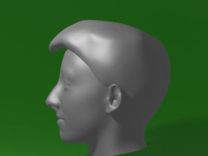 portrait 3D Model