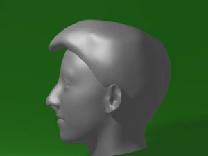 portrait 3D Model