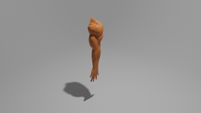 arm human hand for men Model 3D .c4d .max .obj .3ds .fbx .stl .blend 