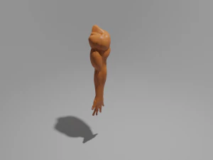 bra&ccedil;o m&atilde;o humana para homens Modelo 3D