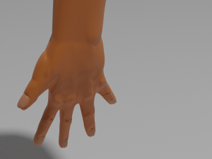 arm human hand for men Model 3D