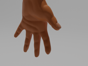 arm human hand for men Model 3D