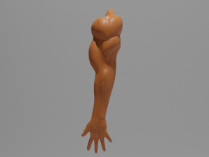 arm human hand for men Model 3D