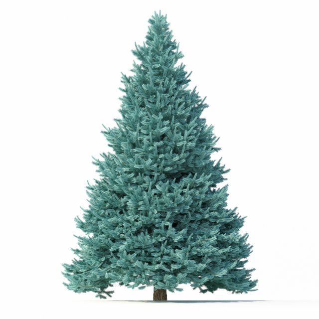 abies no 1 Modelo 3D .c4d .max .obj .3ds .fbx .stl .blend 