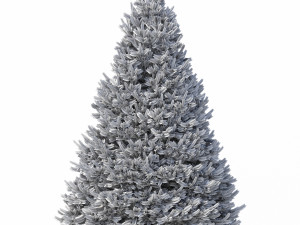 abies no 1 Modelo 3D