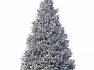 abies no 1 Modelo 3D