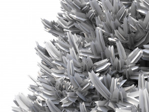 abies no 1 Modelo 3D