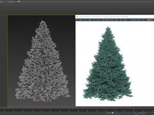 abies no 1 Modelo 3D