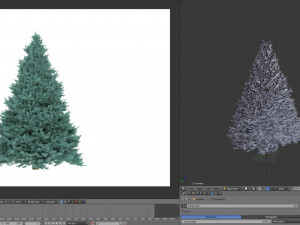 abies no 1 Modelo 3D