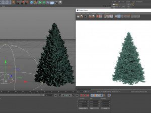 abies no 1 Modelo 3D