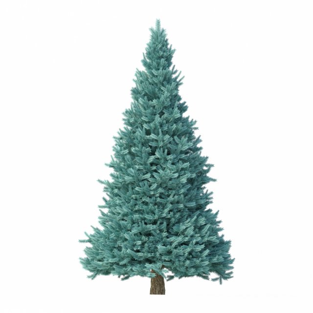 abies no 2 3D Model .c4d .max .obj .3ds .fbx .stl .blend 