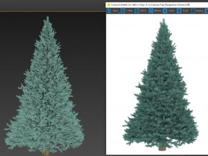 abies no 2 3D Model