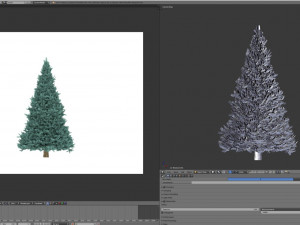 abies no 2 3D Model