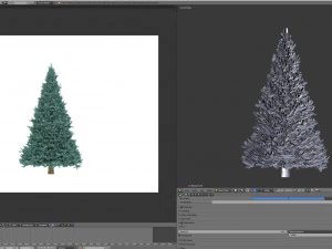 abies no 2 Modelo 3D