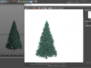 abies no 2 Modelo 3D