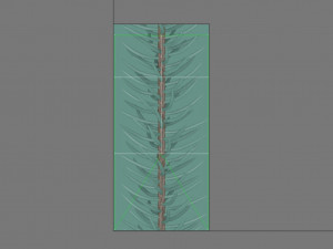 abies no 2 3D Model