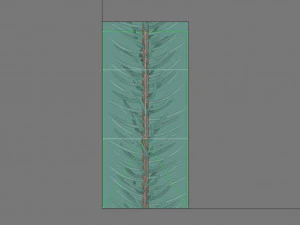 abies no 2 Modelo 3D