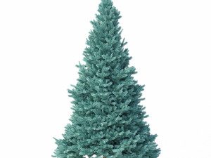 abies no 2 3D Model