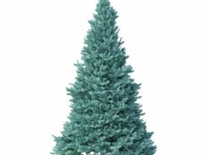 abies no 2 Modelo 3D