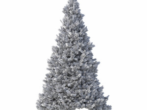 abies no 2 3D Model