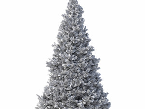 abies no 2 3D Model