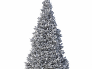 abies no 2 3D Model