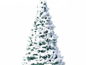abies no 2 with snow 3D Model