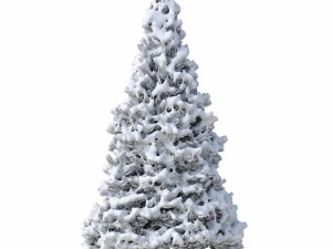 abies no 2 with snow 3D Model